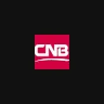 CNB FINANCIAL CORP/PA logo