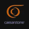 Caesarstone Ltd. logo
