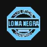 Loma Negra Compania Industrial Argentina Sociedad Anonima logo