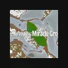 SCOTTS MIRACLE-GRO CO logo