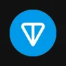 TON Strategy Co logo