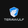 TERAWULF INC. logo